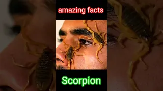 Scorpion facts | fact video | #shorts #youtubeshorts  #facts