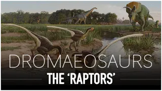 Dromaeosaurs: The Strange Carnivores of The Mesozoic Era | Dinosaur Documentary