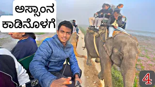 Elephant Safari | Kaziranga | Assam | Ep.4 | Dr Bro