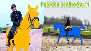 DE TWEEDE PAARD ZOEKTOCHT IS BEGONNEN! | felinehoi