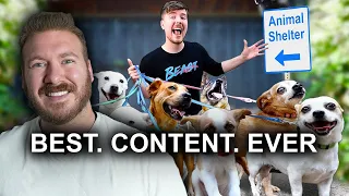 MILLIONAIRE REACTS TO Mr Beast "I Adopted EVERY Dog In A Dog Shelter"