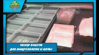 Обзор на боксы для микрозелени. Какими пользуюсь я и мои ошибки