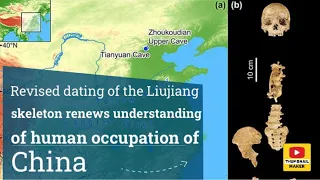 Revised dating of the Liujiang skeleton renews understanding of human occupation of China