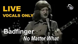 Badfinger - No Matter What [LIVE vocals only]