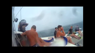 Catamaran storm