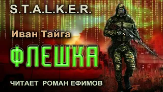 S.T.A.L.K.E.R. Флешка (аудиокнига). БОЕВАЯ ФАНТАСТИКА. Иван Тайга. Читает Роман Ефимов.