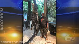 300-pound gator caught near downtown Augusta