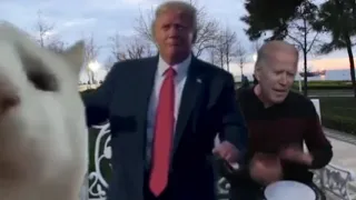 Joe Biden Levan Polkka Sings His Song, Donald Trump Dances (Cat Vibes)