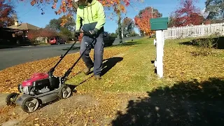 Leaves Mulch Mowing