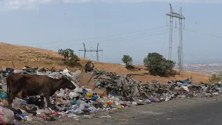 Пригороды Махачкалы задыхаются от дыма со свалки