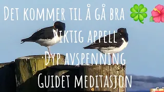 Det kommer til å bli bra🌞Viktig appell. Dyp avspenning med guidet meditasjon 🙏#meditasjon #healing