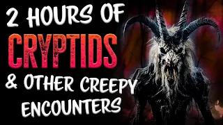 2 HOURS of SKINWALKER & CRYPTID Scary Stories | RAIN SOUNDS | Horror Stories