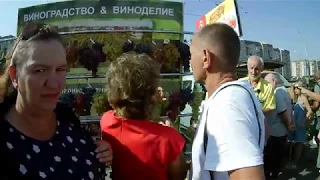 Солнечная гроздь 2018. Селекционер Павловский Е. Г. Приезд.