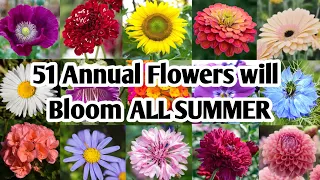 51 Annual Flowers will Bloom all Summer | Beautiful Summer flowering plants | Plant and Planting