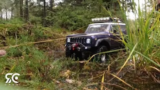 Playing In The Forest - Crawler Style