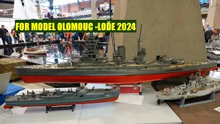 FOR MODEL OLOMOUC 2024-LOĎE