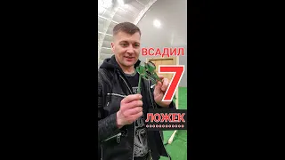 7 ложек ВСАДИЛ ...