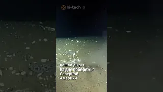 🌊 На дне Тихого океана нашли дыры