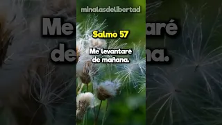 Salmo 57: Refugio en las Alas de Dios | Estudio Bíblico