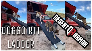 THE BEST WAY TO GET YOUR DOG INTO A ROOF TOP TENT