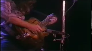 Rory Gallagher Hammersmith Odeon 1977