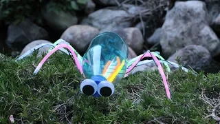 Plastic bottle insect crafts