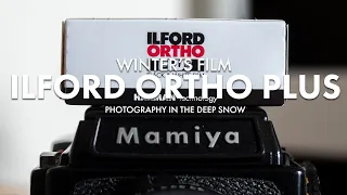 Ilford Ortho 80 | Winter's Film