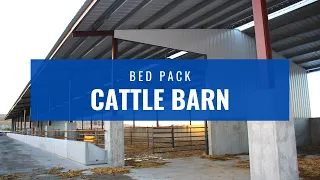 Bed Pack Cattle Barn