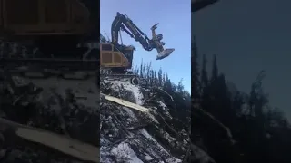 Tigercat 830D lx feller buncher winch assist  Extreme steep slope