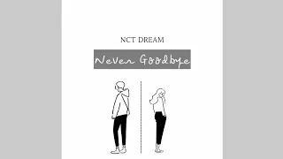 NCT DREAM - Never Goodbye // Lirik Sub Indo