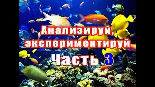 Анализируй, экспериментируй. Часть 3