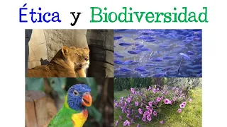💥 Ética y Biodiversidad 🌿 [Fácil y Rápido] | BIOLOGÍA |