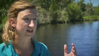 Problems on the Neuse River- "New Trouble on the Neuse River" - A WRAL Documentary