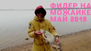 Фидер на можайском водохранилище. Ловля леща. Рыбалка в мае 2019.