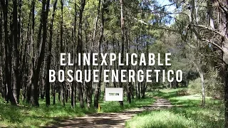 El inexplicable Bosque Energético de Miramar | Tripin Argentina