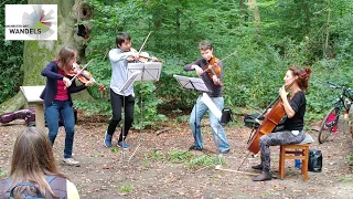 COP 26 Beethoven Orchestra Bonn, Orchester des Wandels