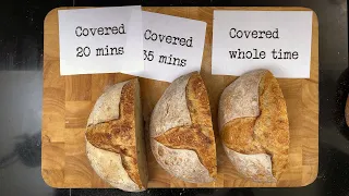 Sourdough Bread Crust Experiment | When should you uncover? | Foodgeek