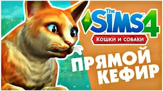 The Sims 4: Кошки и Собаки - Создаем кошек | Cas