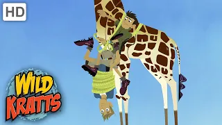 Wild Kratts | Neck and Neck | Full Episode | Season 2