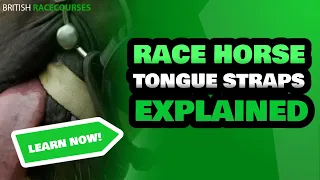 Tongue Tie in Horse Racing | Horses Today Wearing A Tonguestrap