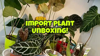 Plant mail unboxing!