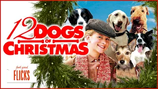 Feel Good Flicks: A Girl's Inspiring Mission with 12 Christmas Dogs