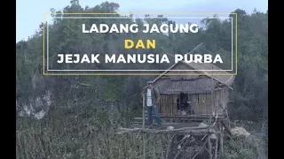 Jagung & Jejak Manusia Purba | Ekspedisi Pulau Muna (4)