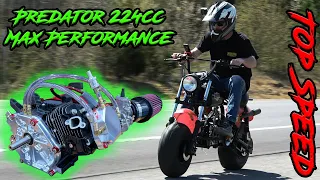 Fully Built Predator 224cc Mini Bike Top Speed & Street Ride
