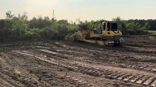 Поле після корчування пнів на трьох гектарах , Розліснення поля на трьох гектарах. Викорчовувач пнів