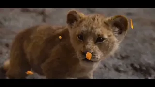 Король лев клип🦁🥭