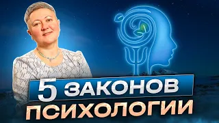 Пять законов психологии