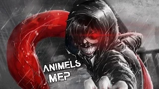 「HitAs™」▸ Animals MEP