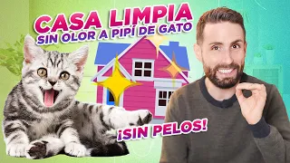 Cómo tener TU CASA LIMPIA viviendo CON GATOS 😻🏠✨| Quita olor a pipí, elimina pelos, suelo reluciente