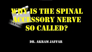 Why is the spinal accessory nerve so called?